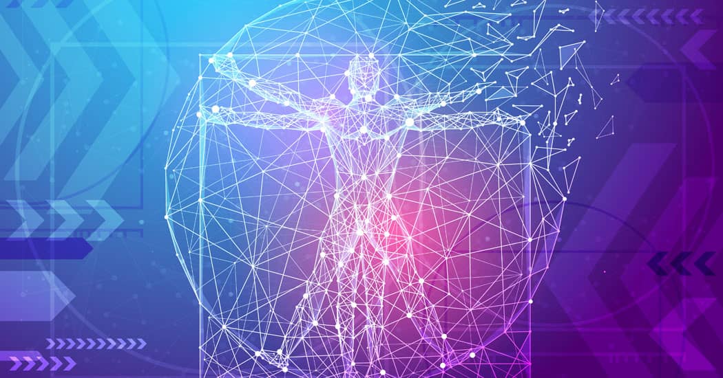 Digital outline of classic proportion man