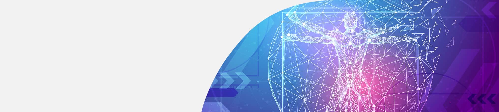 Digital outline of classic proportion man