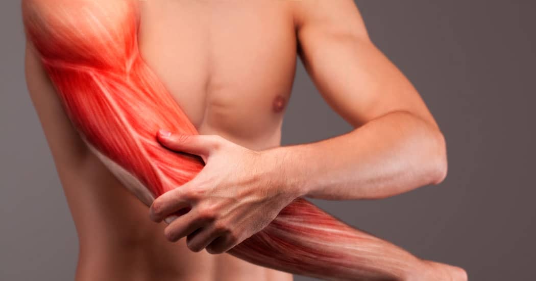 Diagram showing ligaments in young male arm