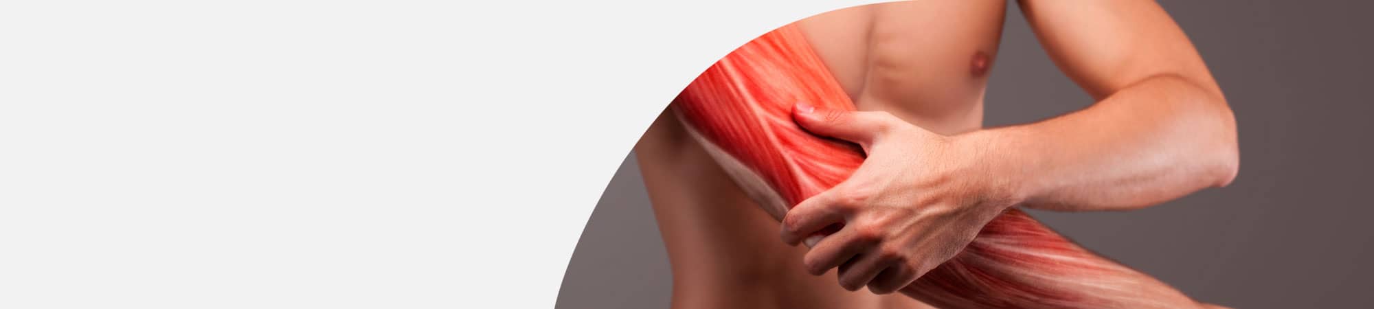 Diagram showing ligaments in young male arm